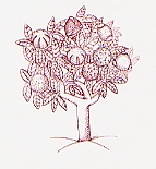 albero dei pollini
