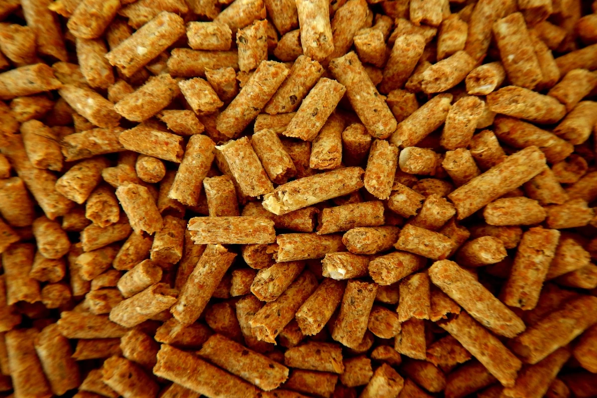 Carenza di pellet inverno 2025 come proteggersi dall’emergenza riscaldamenti (2)