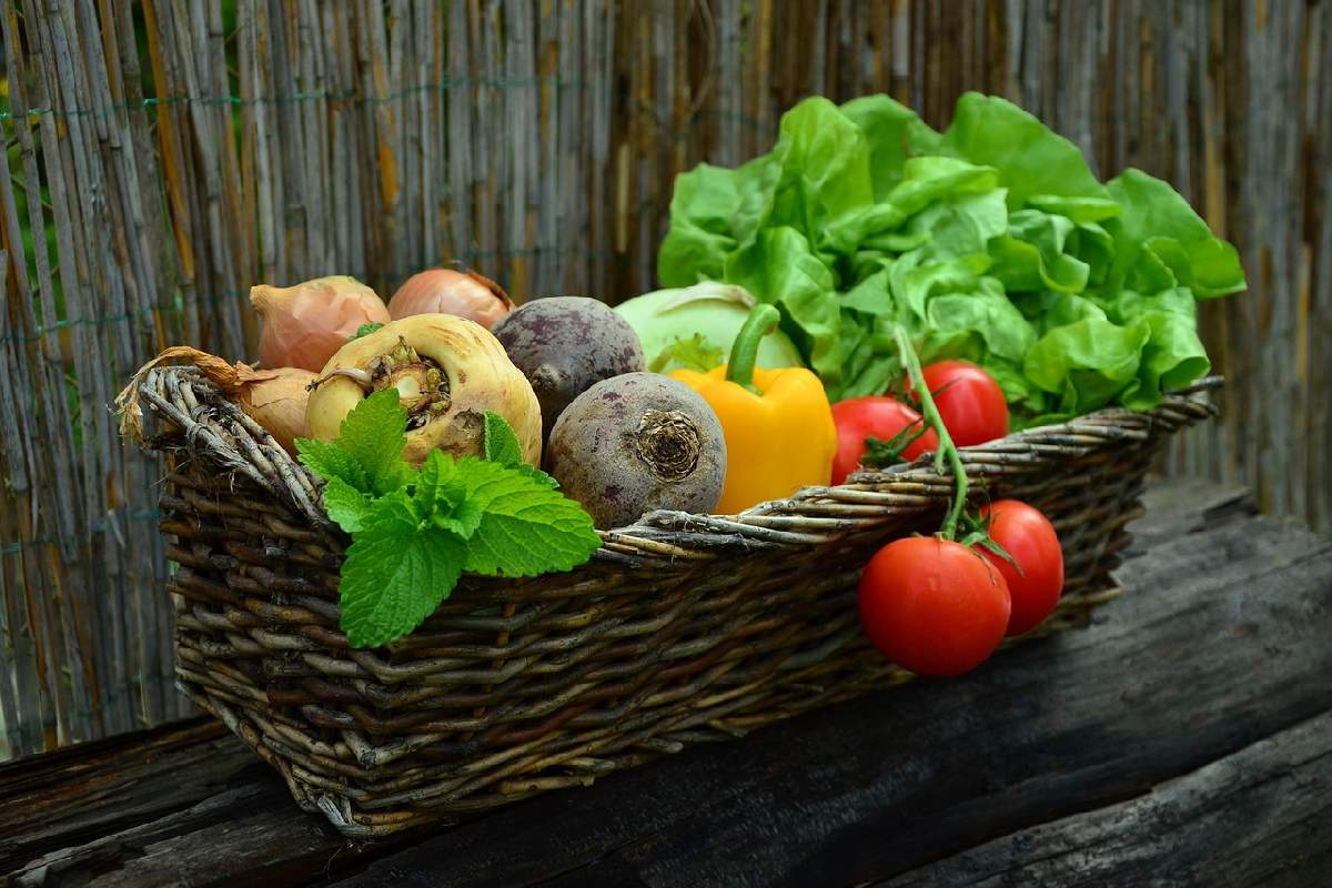Le verdure sono molto importanti per un'alimentazione sana