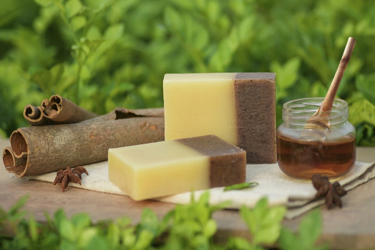 Miele e cannella, l’accoppiata naturale che rafforza il corpo e sostiene le difese (1)