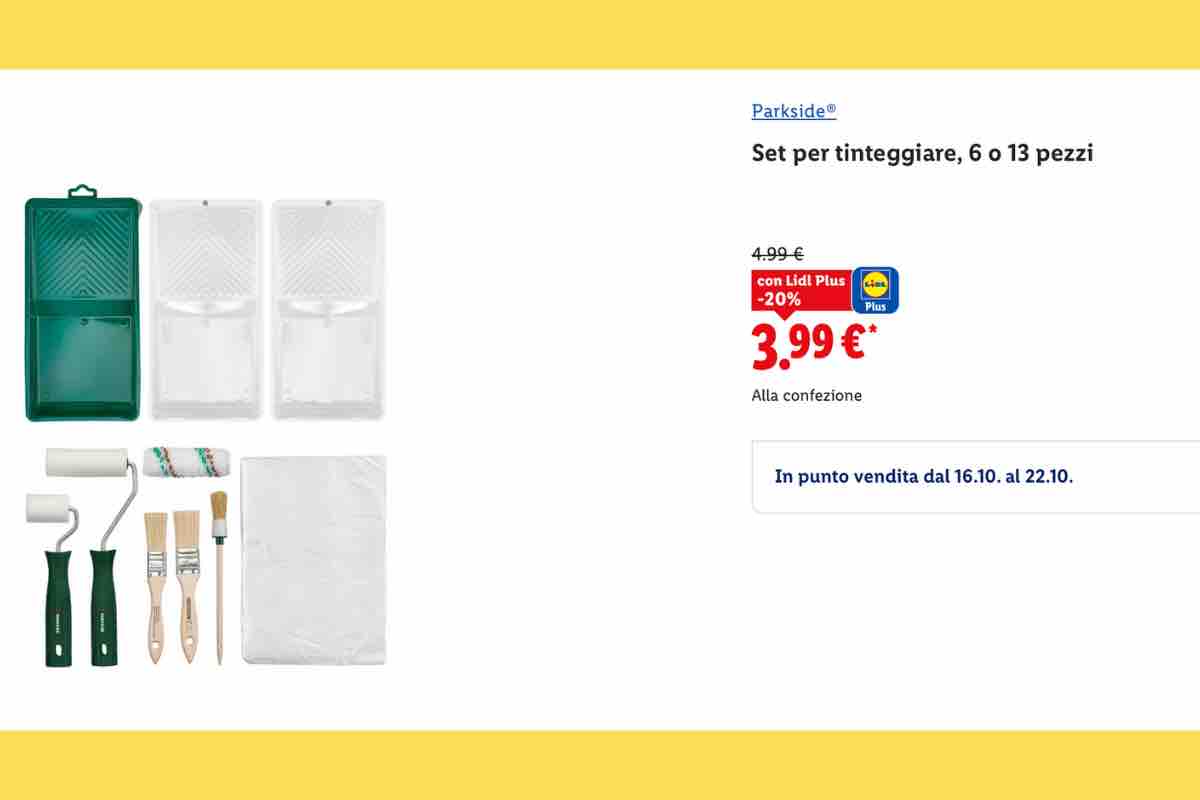 Set per tinteggiare Parkside