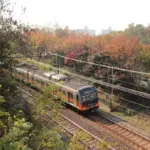 Seleziona Quando l’autunno si fa viaggio il treno del foliage tra Italia e Svizzera incanta il mondo (1)