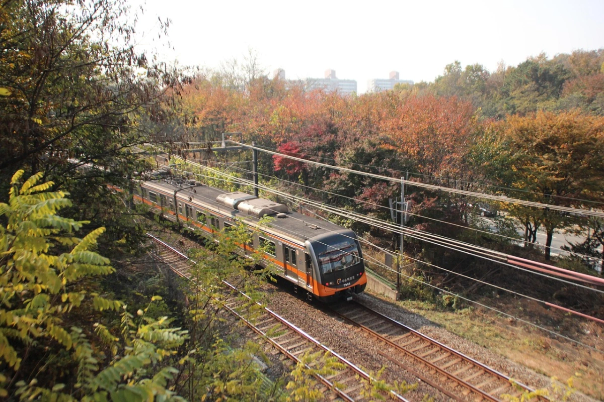 Seleziona Quando l’autunno si fa viaggio il treno del foliage tra Italia e Svizzera incanta il mondo (1)