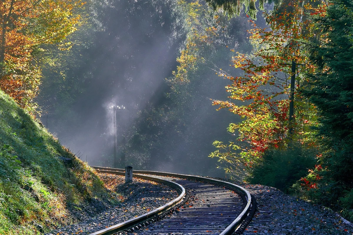 Seleziona Quando l’autunno si fa viaggio il treno del foliage tra Italia e Svizzera incanta il mondo (2)