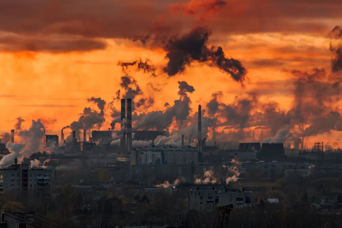 Smog e polmoni