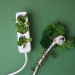 Sostenibilità in Italia