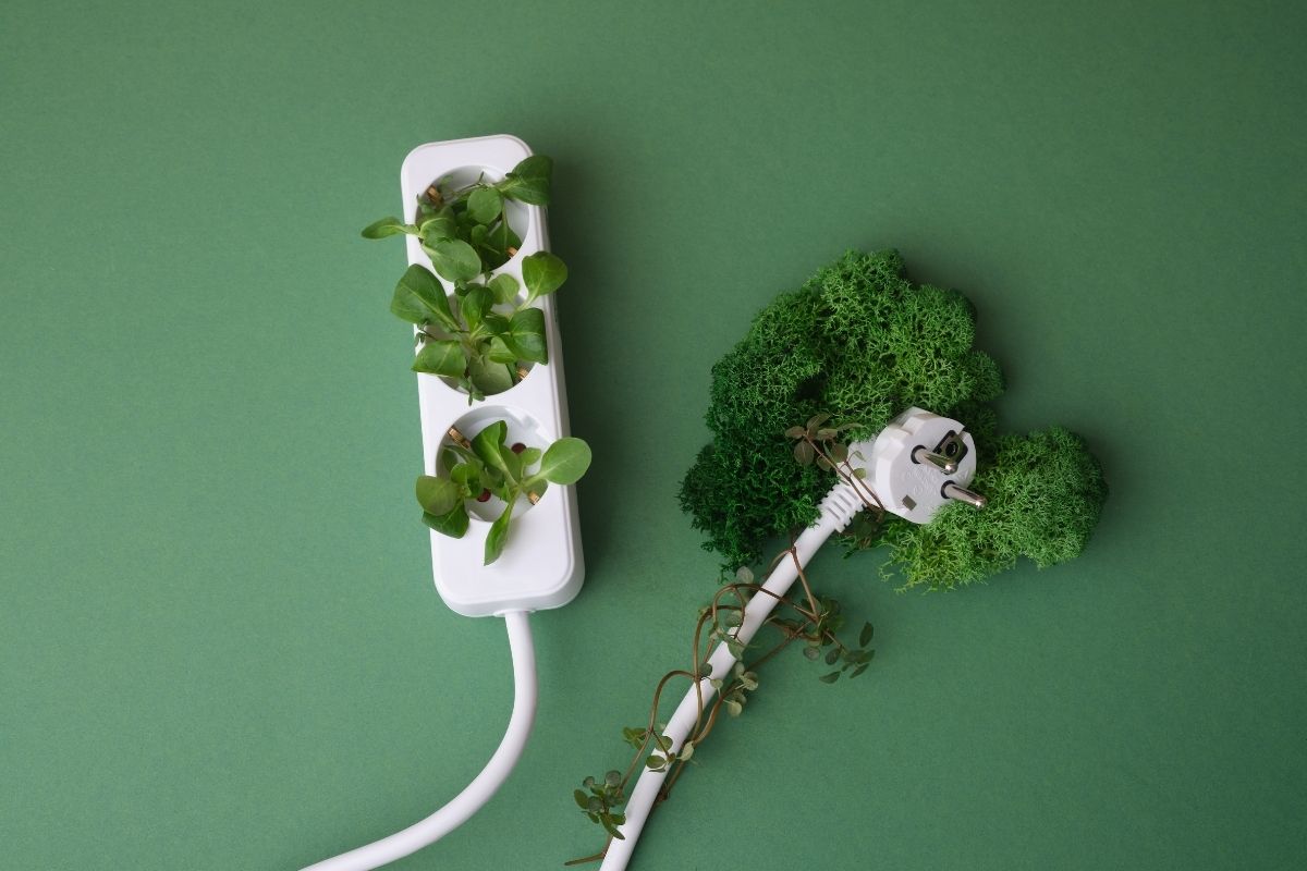 Sostenibilità in Italia