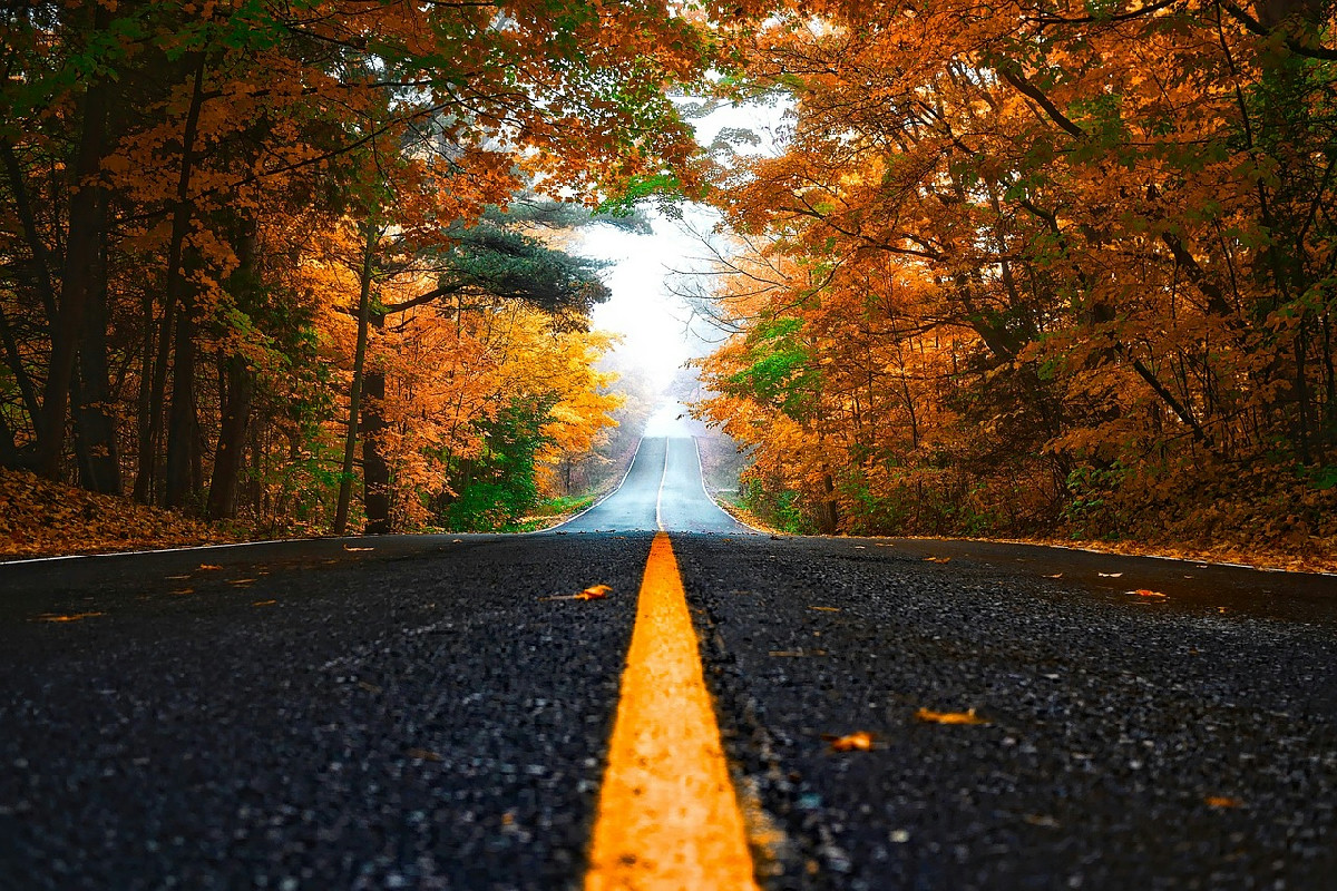 Foliage e panorami: le strade d'autunno più spettacolari da percorrere in auto in Italia