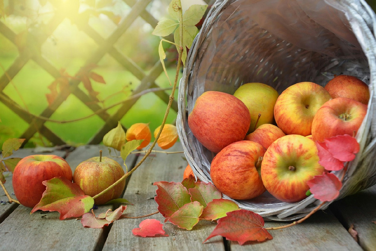 Italia in festa: le sagre d’autunno che trasformano il gusto, la musica e l’allegria di stagione