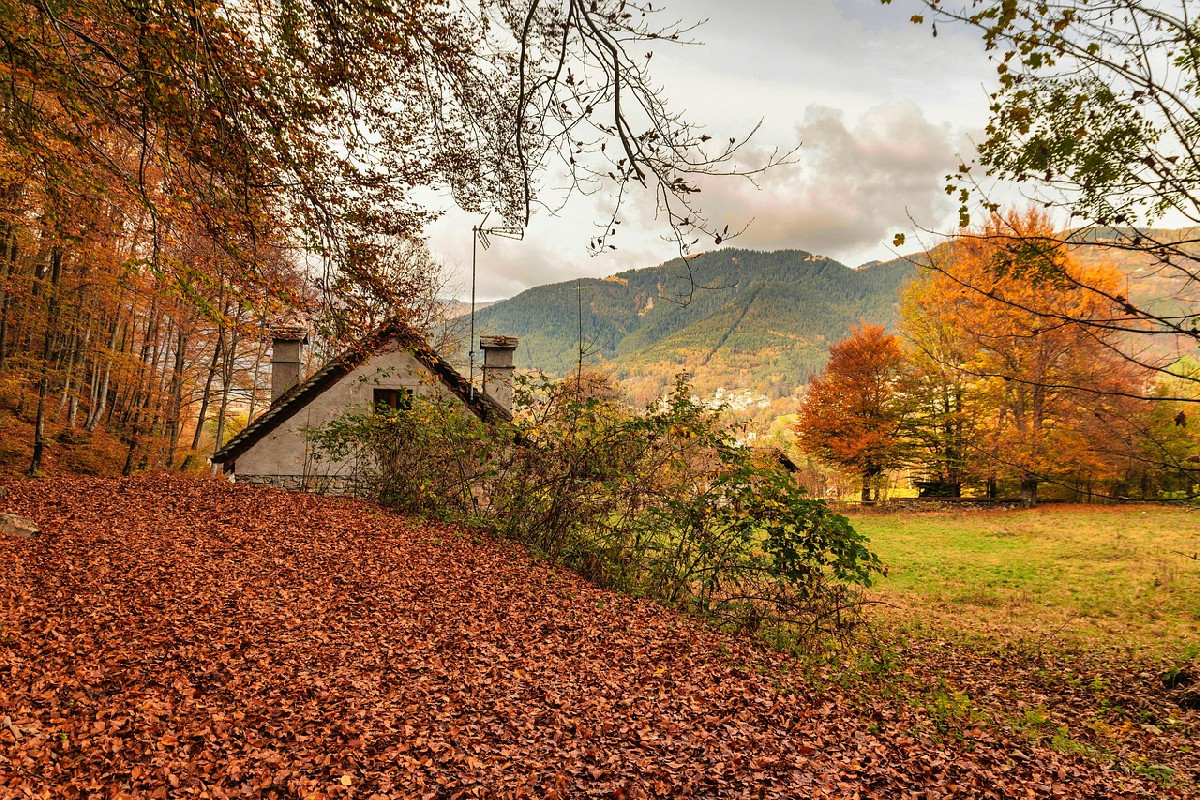 Non rinuncio mai all’autunno in viaggio: le mete europee dove il foliage è pura meraviglia