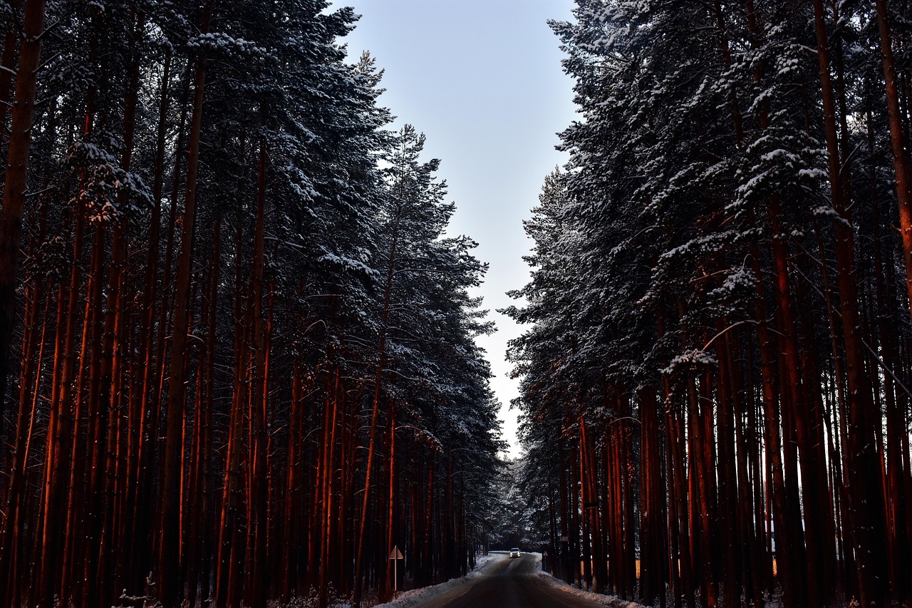 Novembre porta scenari inediti: piogge atlantiche e clima mite travolgono il Centro-Sud