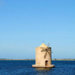 Cinque Oasi WWF imperdibili: esplora i paradisi naturali italiani e i loro segreti nascosti