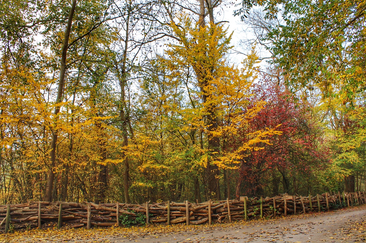 Quattro angoli d’Europa dove l’autunno diventa magia: panorami e colori da sogno fuori rotta